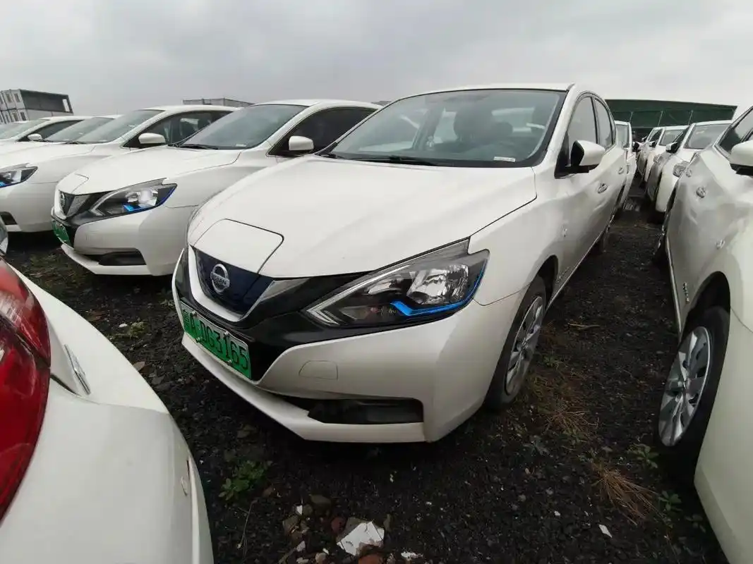28134907ZD7stx.webp